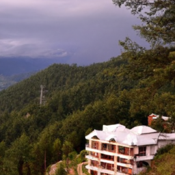 Exploring the Best Hotels and Resorts in Chail